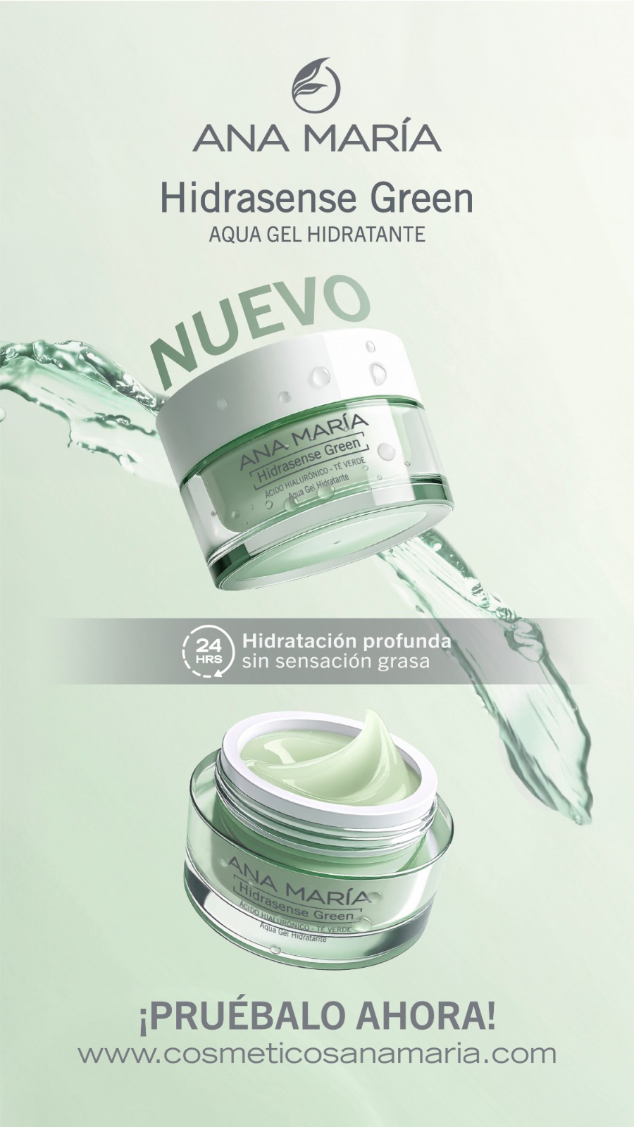 WhatsApp Image 2026-02-18 at 12.50.24 PM